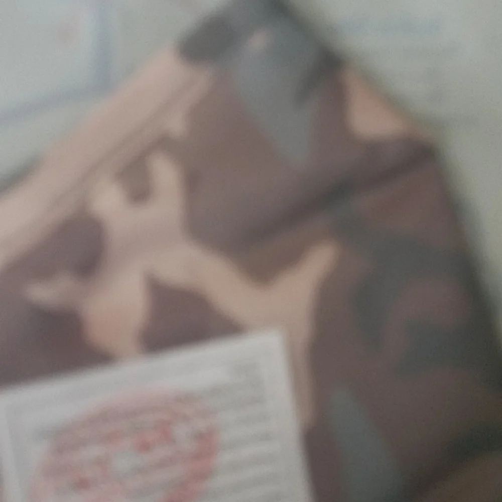 facemasks set of 2 camo print